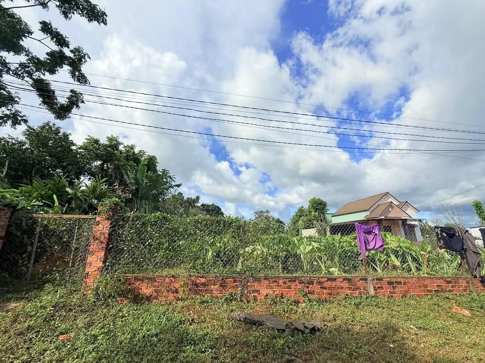 Đất nền Phước An, Ea Kar 731m² giá 73.1 tỷ - Đất cao ráo, vị trí đẹp!