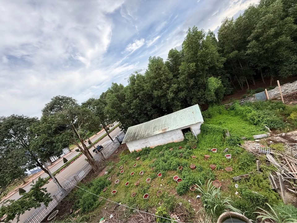 Cho thuê mặt bằng FrontHouse đường Trần Phú, Phú Mỹ, 1000m² - Vị trí đắc địa ngay ngã tư cây xanh!