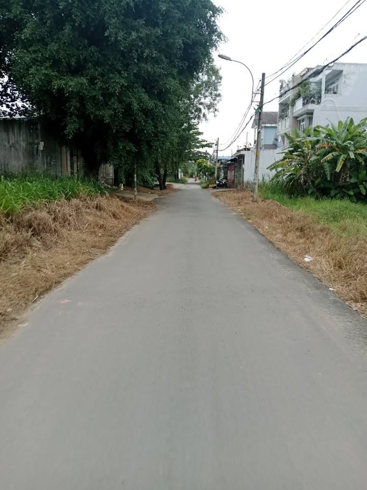 Đất sổ hồng riêng Hóc Môn 521m² giá 13 tỷ - Thích hợp đầu tư ngay!