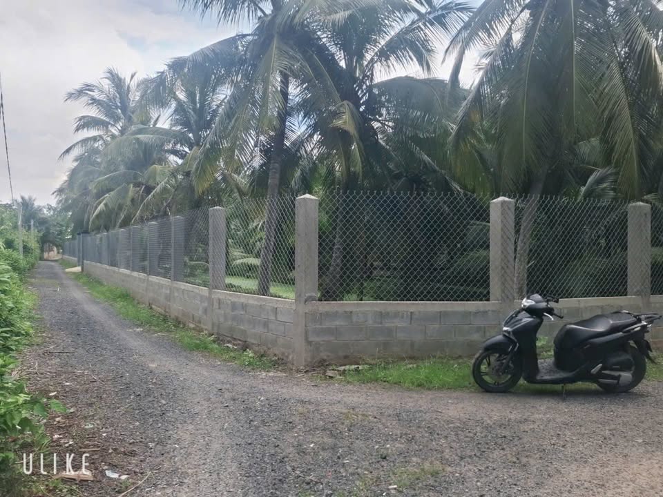 Đất nền 450m² xã Thạnh Phú, Châu Thành - Góc 2 mặt tiền, giá 1.1 tỷ!