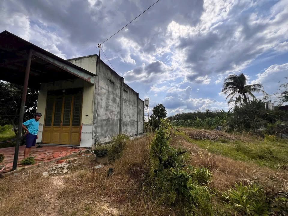 Đất nền 4500m² tại Trường Xuân, Tây Ninh giá 1.485 tỷ - Cơ hội đầu tư hấp dẫn!