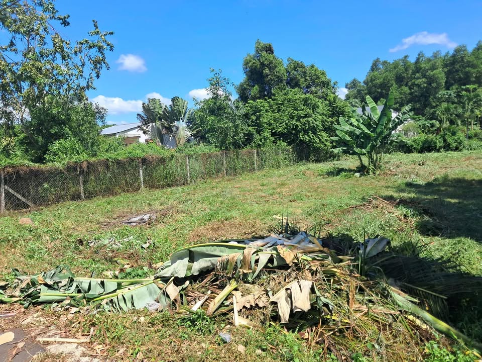 Đất thổ cư 500m² tại thị trấn Đất Đỏ - Giá 3.5 tỷ - Đầu tư sinh lời ngay!