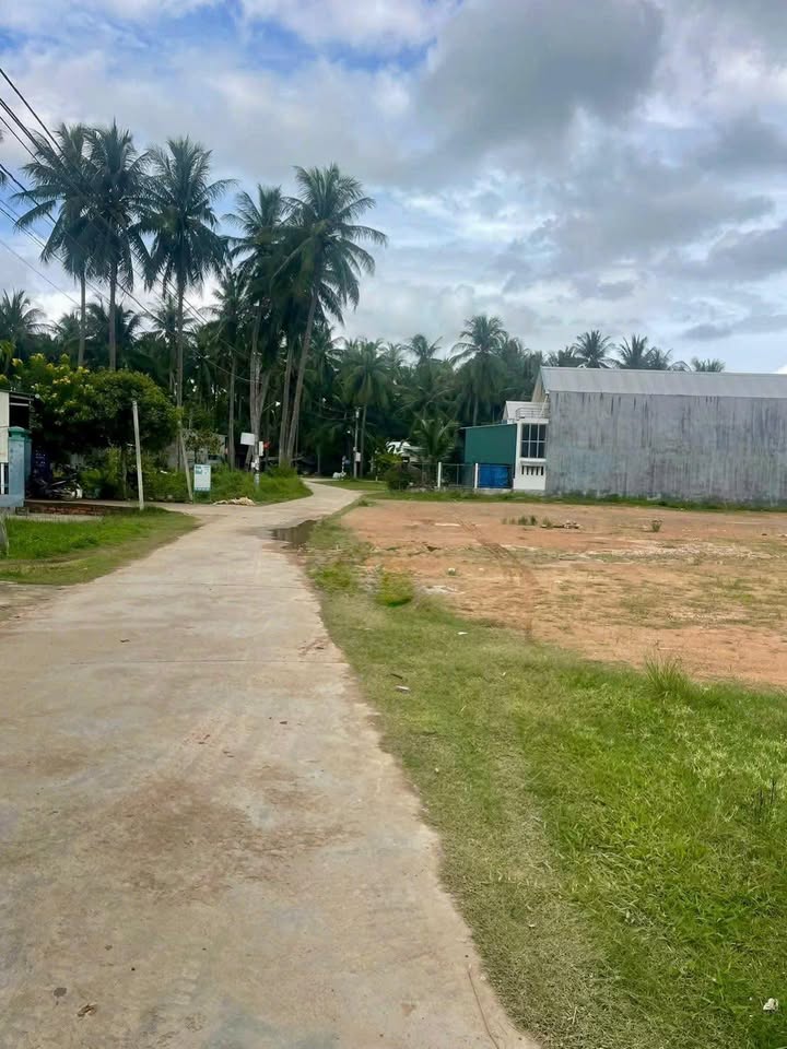 Đất thổ cư mặt tiền đường Xuân Thủy, khu phố 9, Hoài Nhơn 120m² giá 600 triệu - Đầu tư sinh lời ngay!