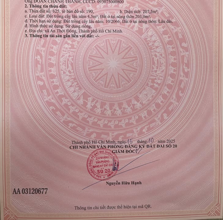 Đất nền 333m² mặt tiền đường An Thới Đông, huyện Cần Giờ - Cơ hội đầu tư tuyệt vời!