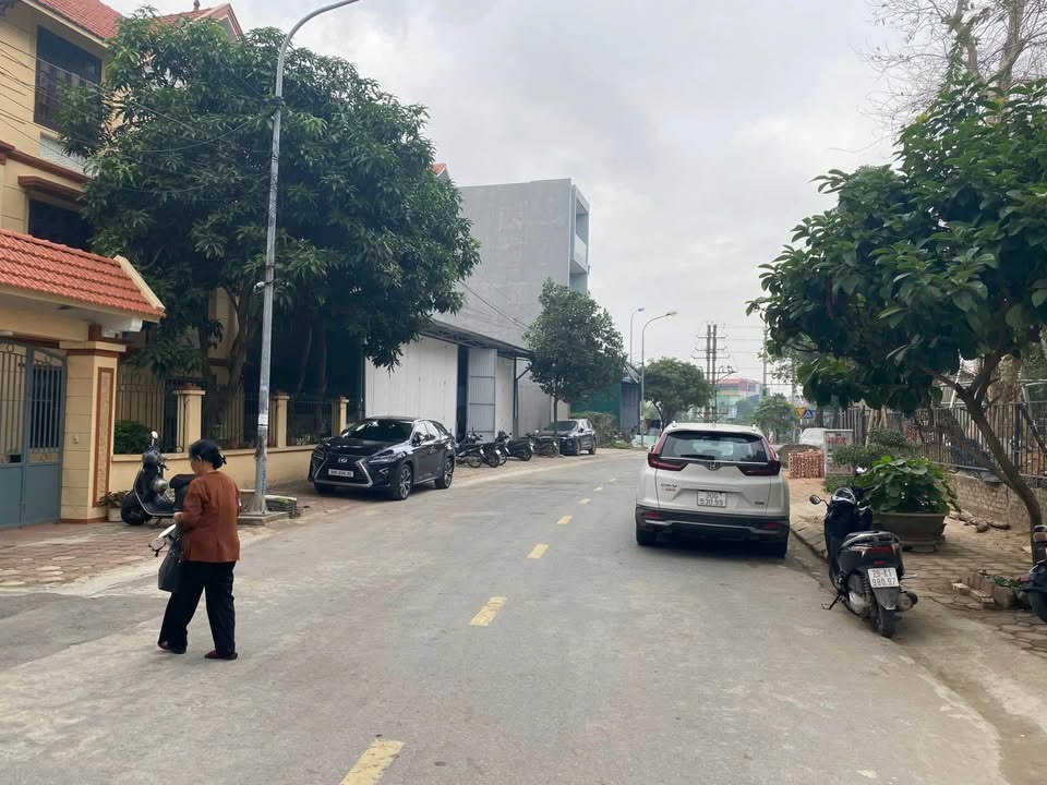 Đất nền Trâu Quỳ, Gia Lâm 135,5m² giá 19.514 tỷ - Đầu tư sinh lời ngay!