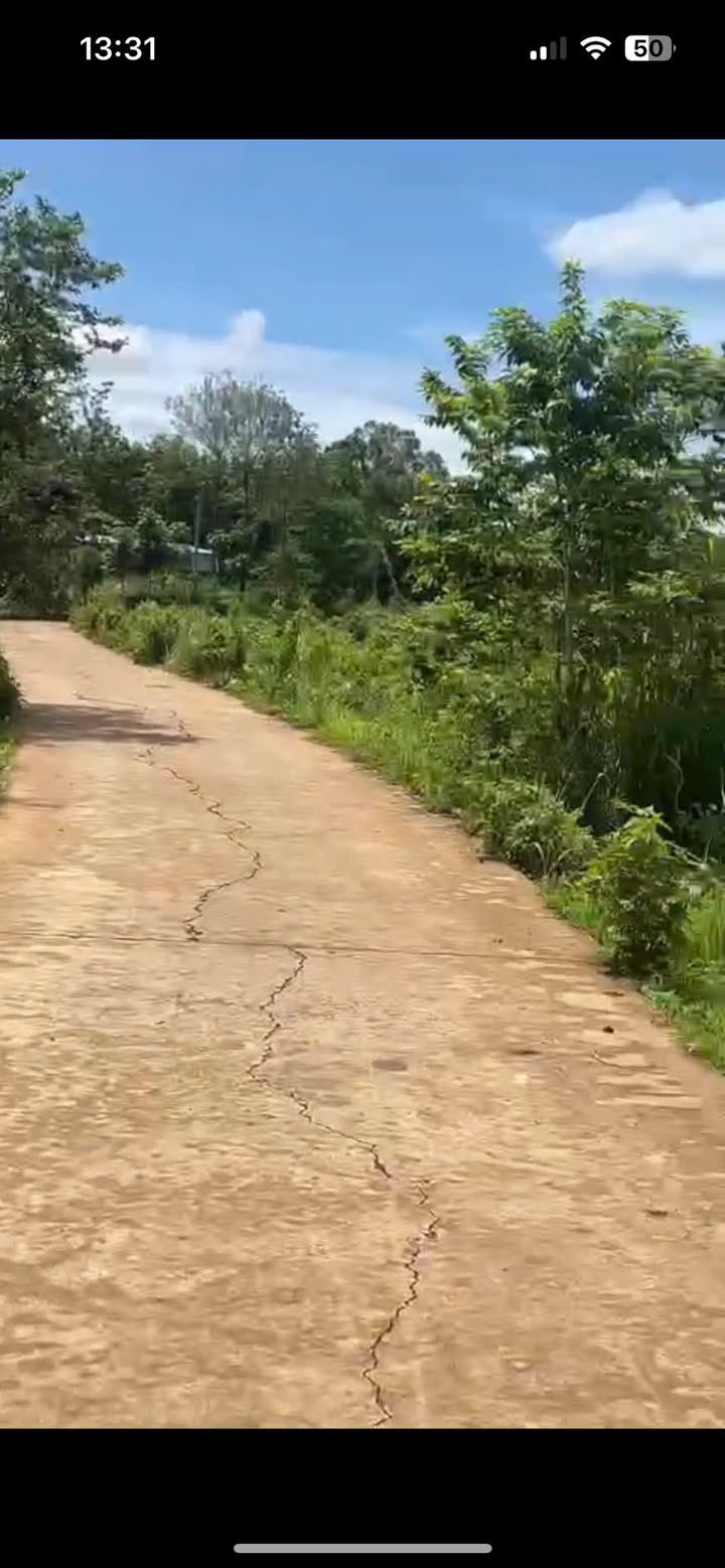 Đất Lộc Điền Lộc Ninh 1066m² giá chỉ 350 triệu - Sẵn sàng xây nhà ở ngay!