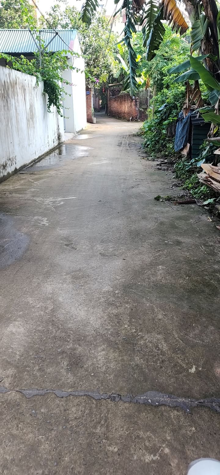 Đất nền 53m² đường Sen Hồ, xã Lệ Chi, Gia Lâm - Mở rộng không gian sống!