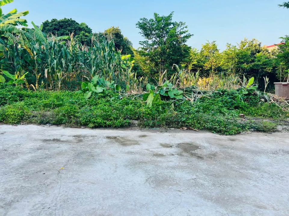 Đất nền rộng 76m² tại Phường Quyết Thắng, Thái Nguyên - Giá 1 tỷ, hướng Đông Bắc!