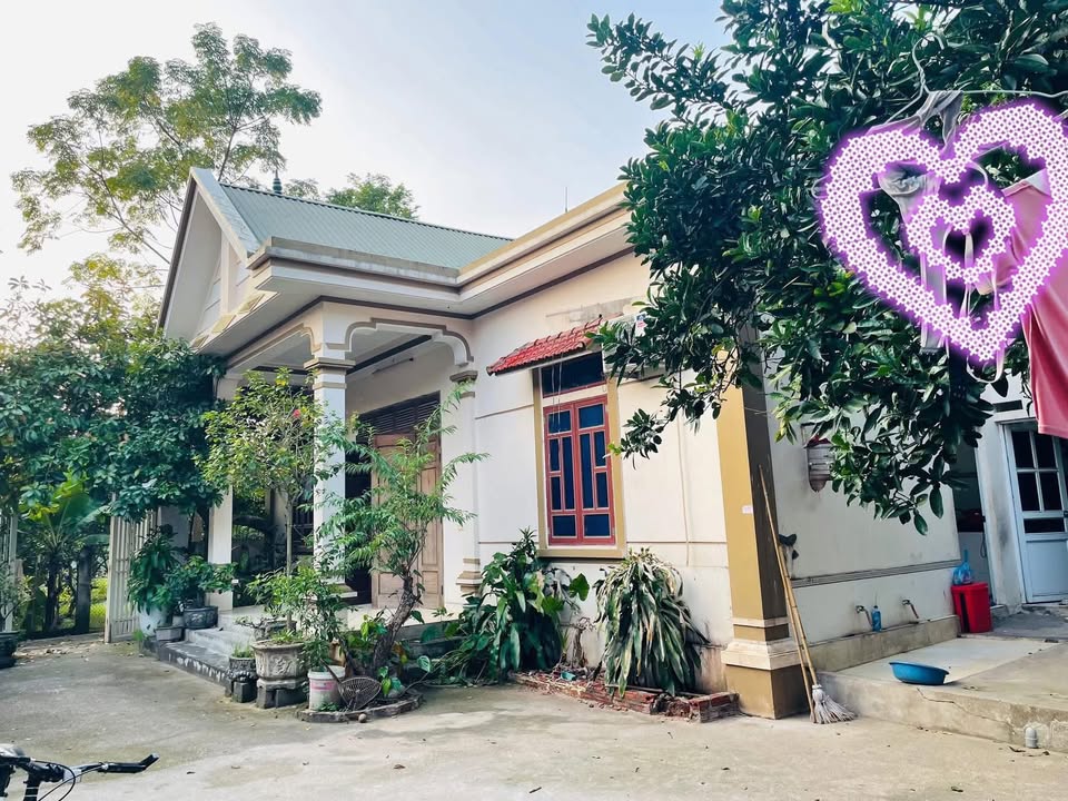 Đất tặng nhà xã Liên Châu 240.2m² giá chỉ 2 tỷ - Vị trí đẹp, tiện ích đầy đủ!