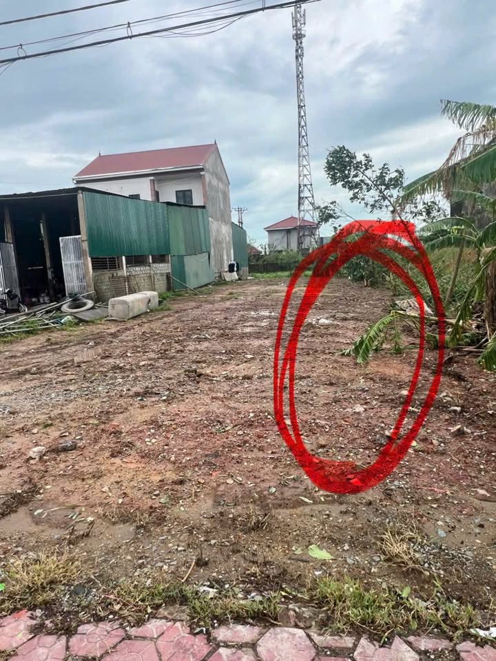 Đất nền Cẩm Thành 100m² giá 2,5 tỷ - Cơ hội đầu tư sinh lời!