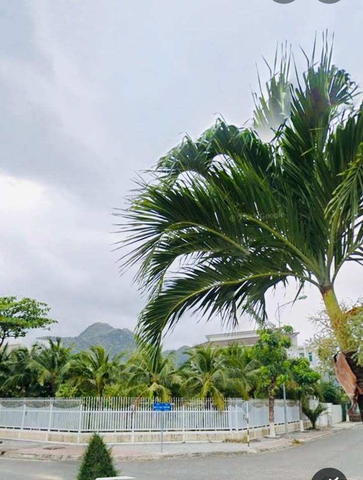 Biệt thự 298m² Nha Trang giá 35 tỷ - Gần biển, thiết kế hiện đại!