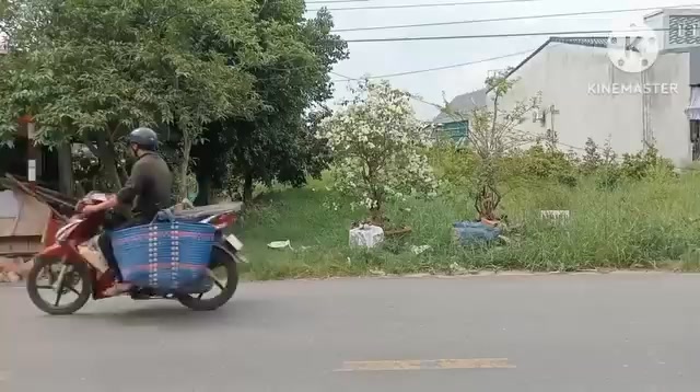 Đất nền mặt tiền đường tỉnh lộ 951, Hòa Lạc, 2030m² giá 2.4 tỷ - Đầu tư sinh lời ngay!