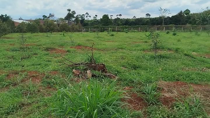 Đất nền Xuân Bảo, Cẩm Mỹ 1.1ha giá 2.7 tỷ - Cơ hội đầu tư sinh lời!