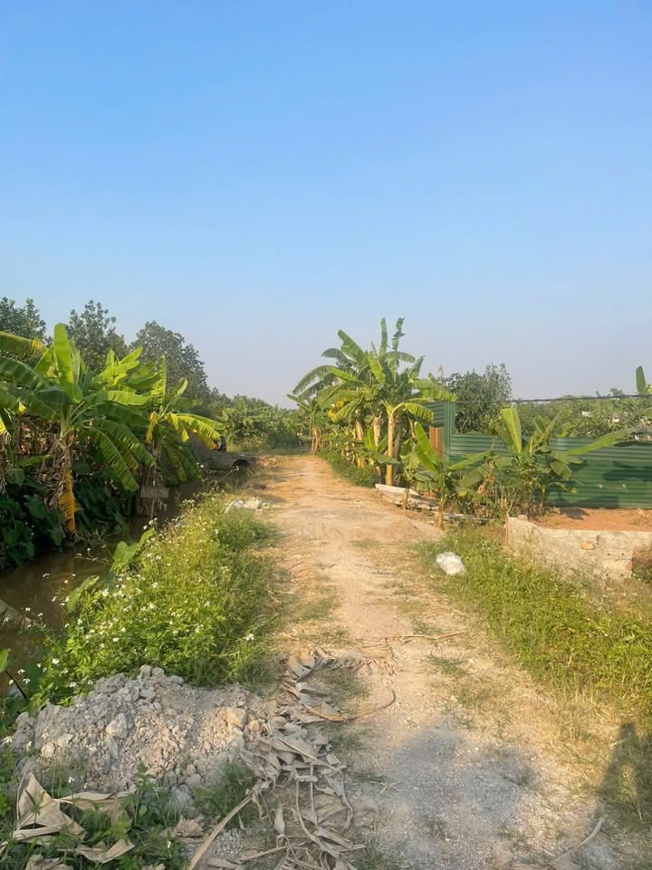 Đất vườn Sài Sơn Quốc Oai 408m² giá 1.224 tỷ - Cơ hội đầu tư tuyệt vời!