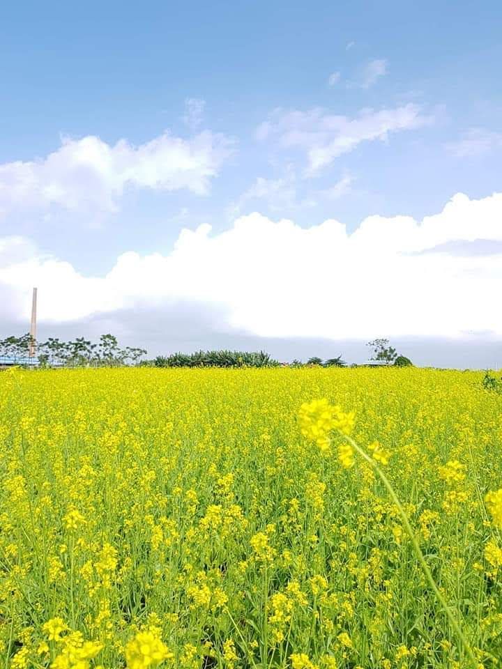 Đất nền Duy Hải, Duy Tiên 100m² - Kinh doanh sầm uất ngay cổng trường!