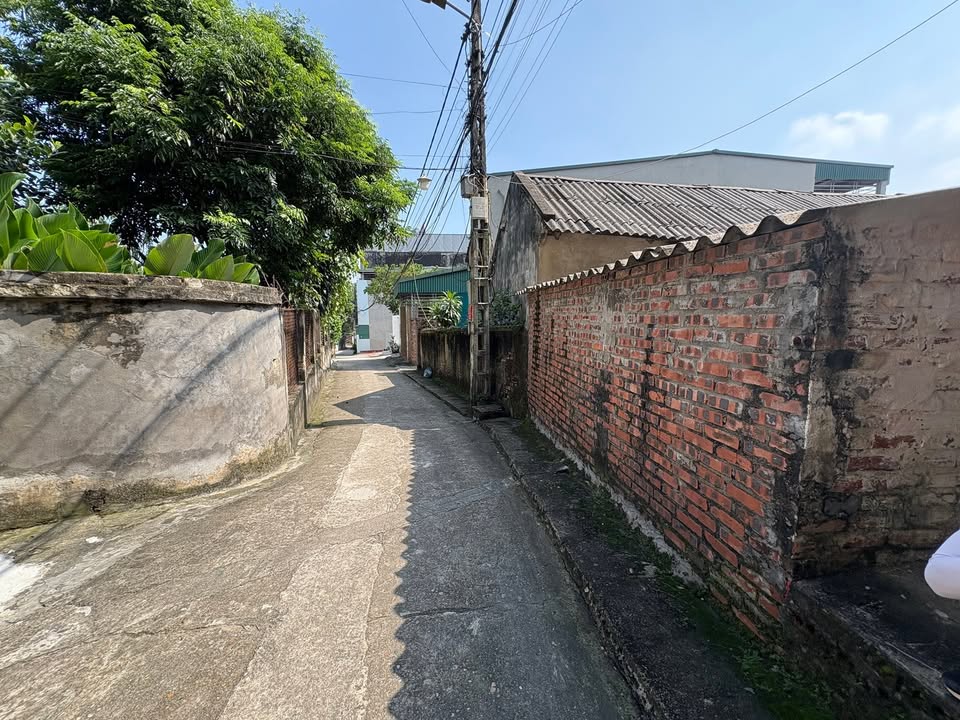 Đất nền Tiên Cát, Việt Trì 78m² giá 2.9 tỷ - Cơ hội đầu tư không thể bỏ lỡ!