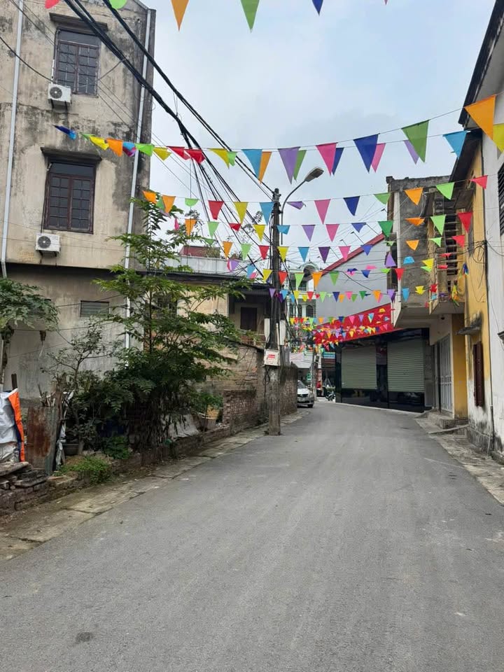 Đất nền Liên Bảo, Vĩnh Yên 101m² giá 3 tỷ - Vị trí đắc địa gần trung tâm!