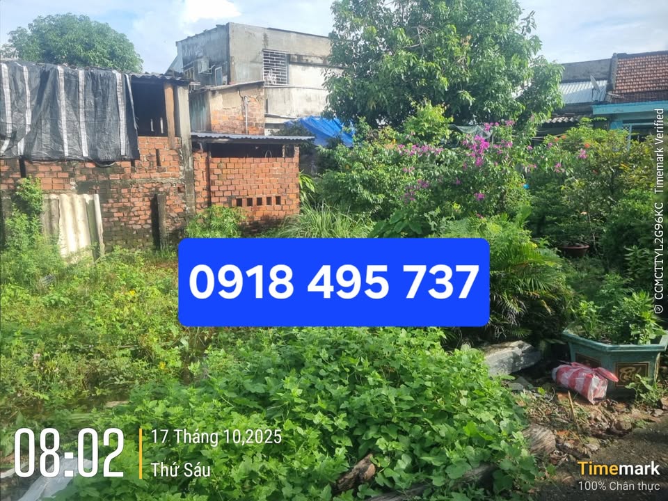 Đất Hòa Phước Đà Nẵng 96.5m² giá 1.58 tỷ - Đầu tư sinh lời ngay!