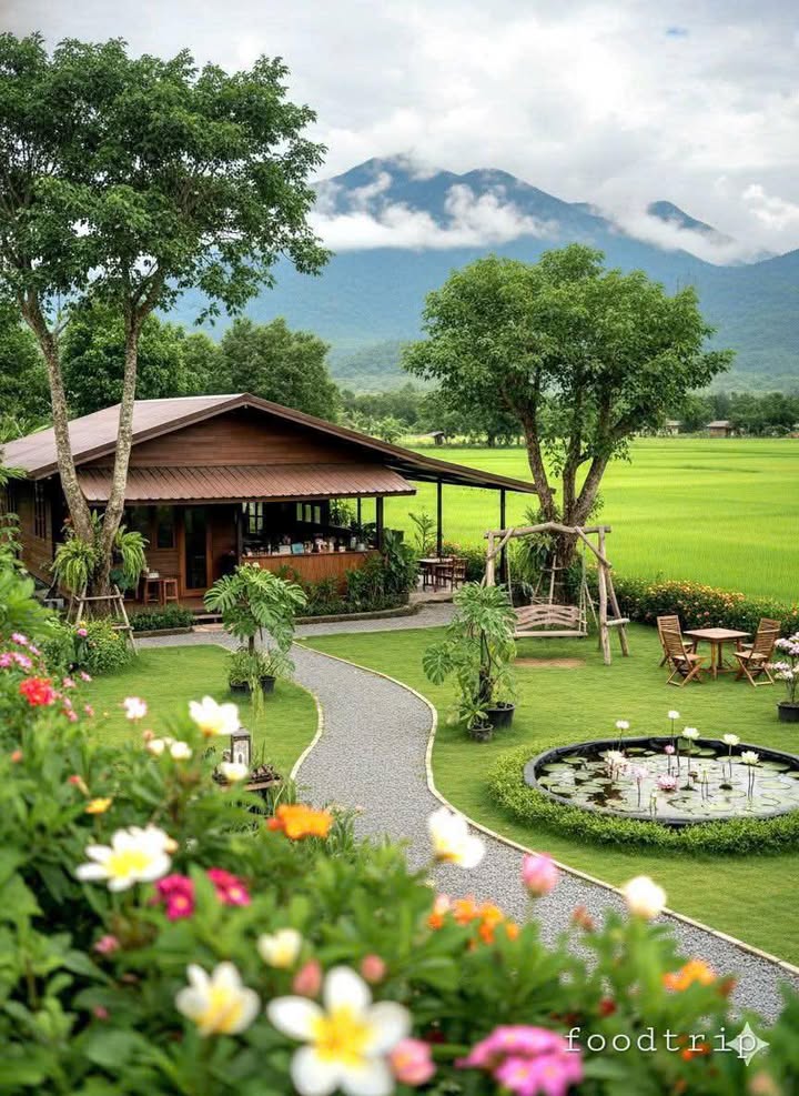 Đất nền 1000m² tại Định Mỹ, Thoại Sơn - Giá chỉ 135 triệu - Cơ hội đầu tư tuyệt vời!