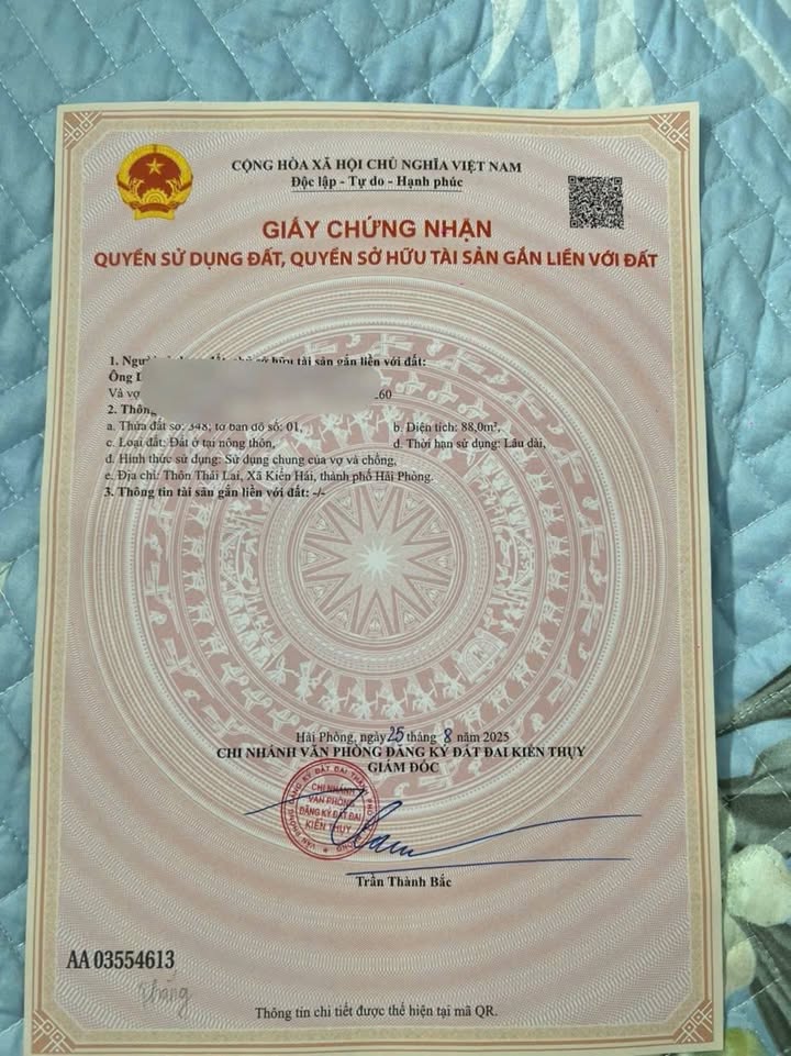 Đất nền mặt đường Tân Phong 220m² giá 1.409 tỷ - Tiềm năng đầu tư lớn!