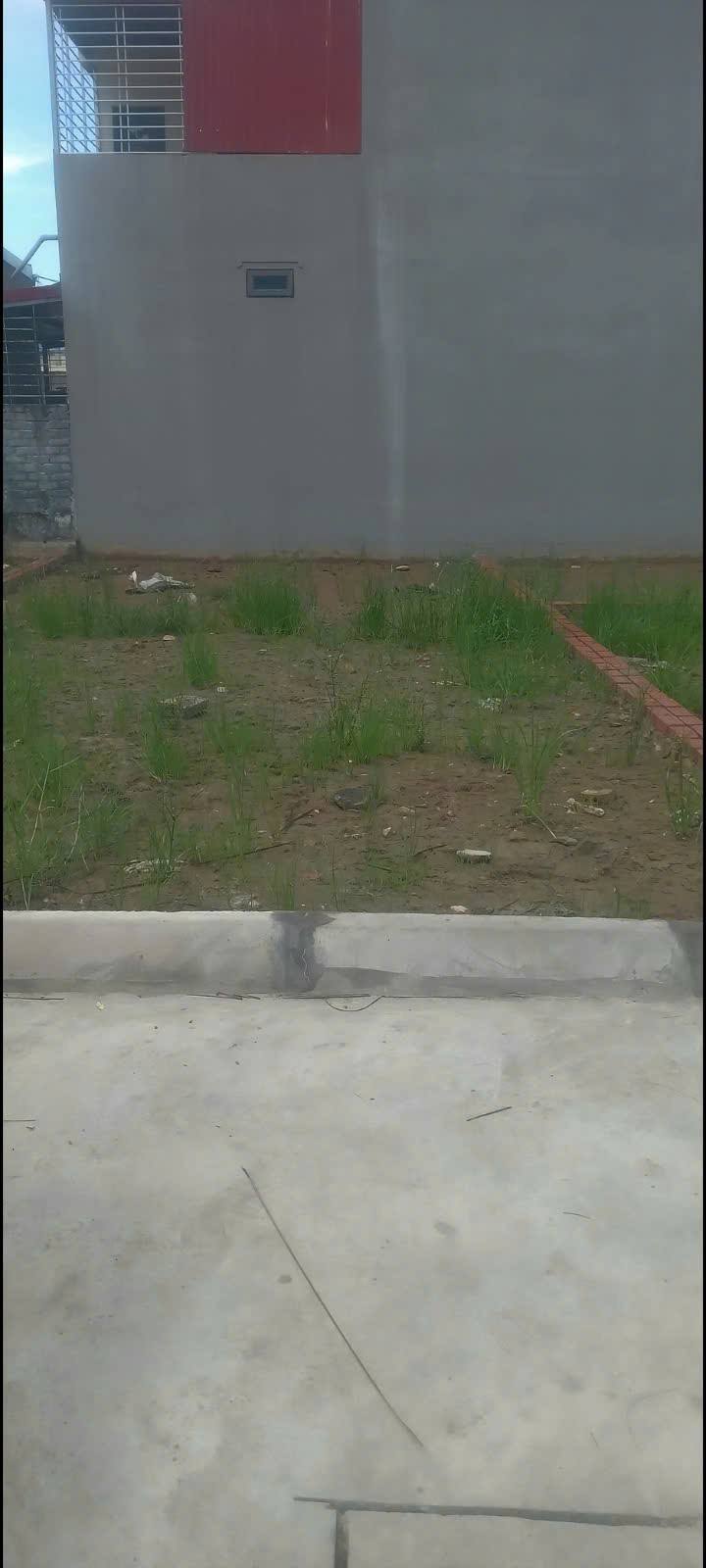 Đất Tân An, An Lão 61m² chỉ 600 triệu - Ngõ nông ô tô vào tận nơi!