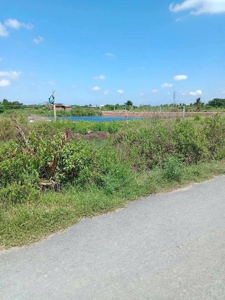 Đất mặt tiền đường Mắc Miễu, xã Đại Hòa Lộc, 5920m² - Cơ hội đầu tư vàng!