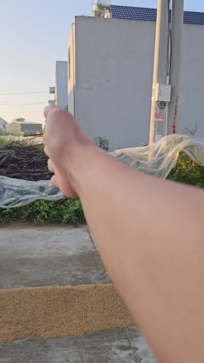 Đất giãn dân Tân Hưng, Bình Giang 97m² giá 2 tỷ - Tiềm năng phát triển cao!