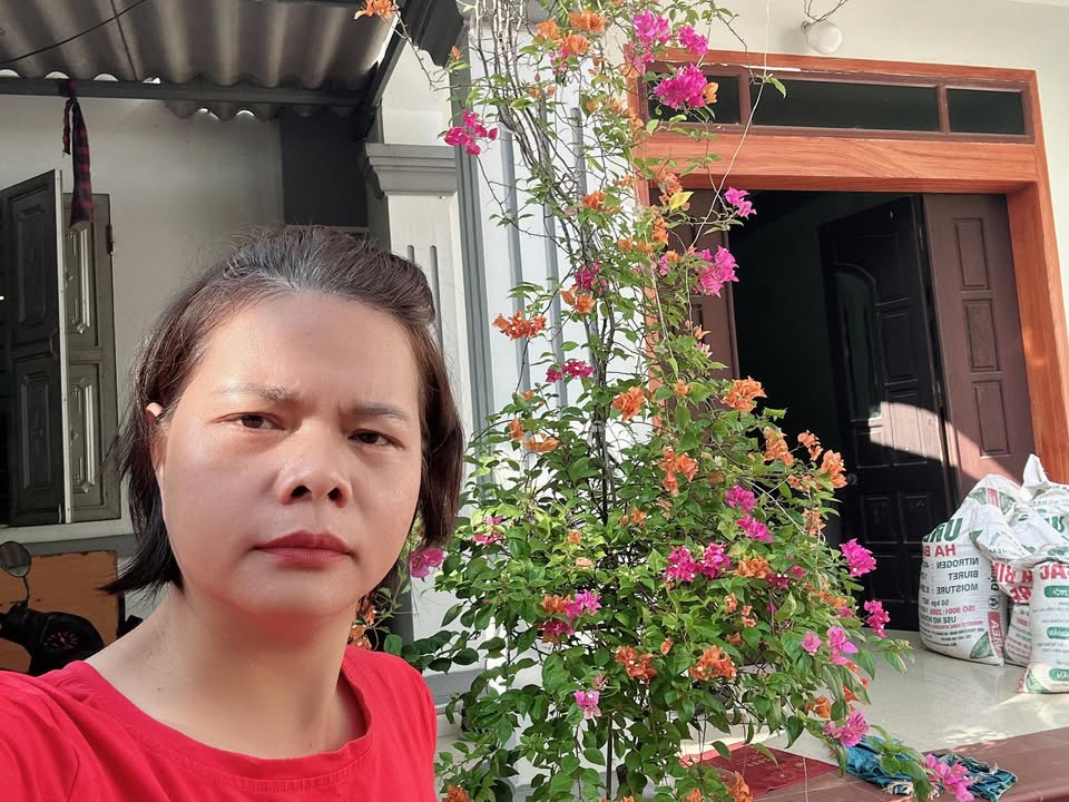 Đất nền dự án Đình Tổ, Thuận Thành 114m² giá 3 tỷ - Đầu tư sinh lời tuyệt vời!