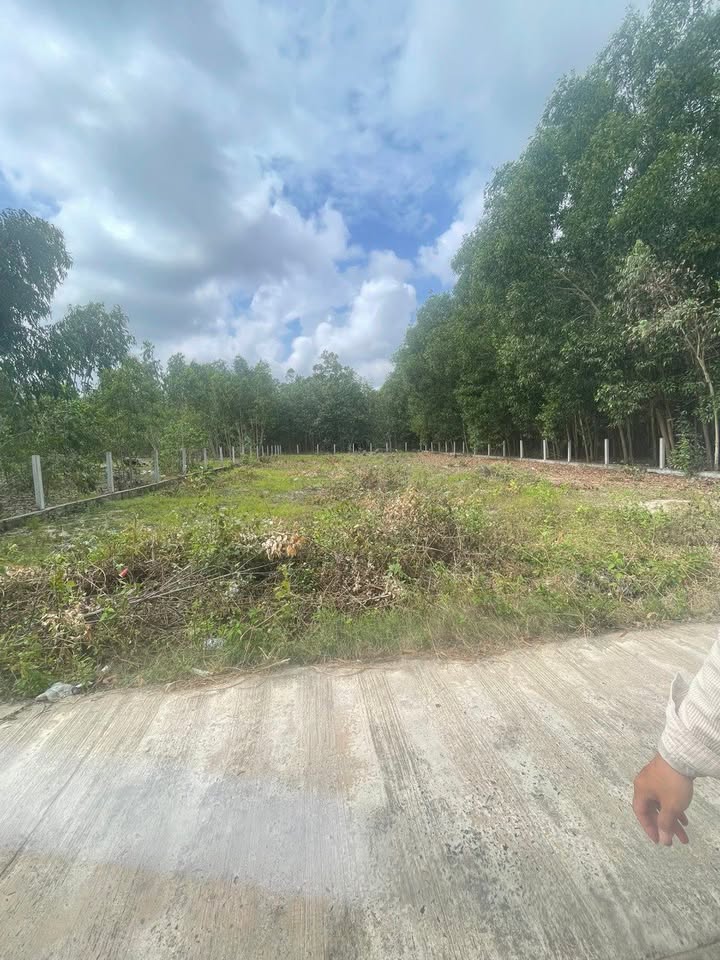 Đất nền Xuân Lộc 1.000m² giá 2 tỷ - Không lo ngập lụt, tiềm năng sinh lời!