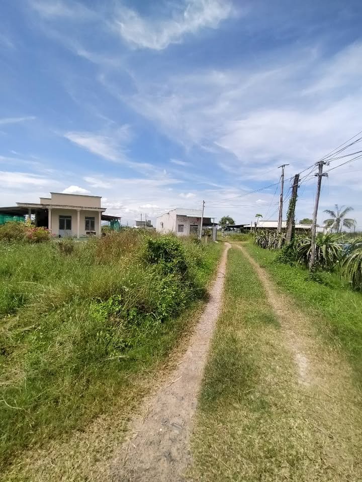 Đất thổ cư 300m², 900m² Thôn Đại Lộc, Bình Thuận - Sẵn sàng xây dựng homestay!