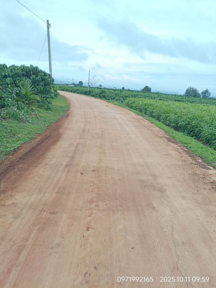 Đất thổ cư Tân Hội, Đức Trọng 150m² giá chỉ 495 triệu - Cơ hội đầu tư tuyệt vời!