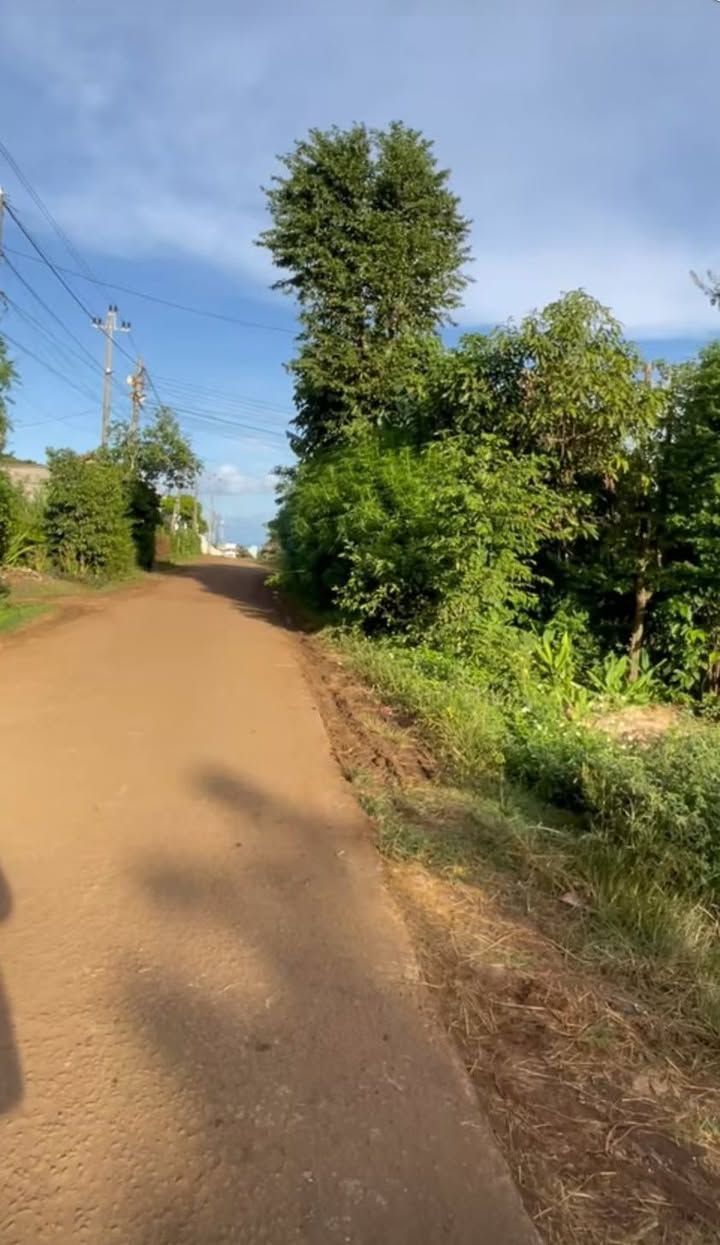 Đất nền 756m² tại Krông Pắc, Đắk Lắk giá chỉ 1.25 tỷ - Đầu tư sinh lời ngay!