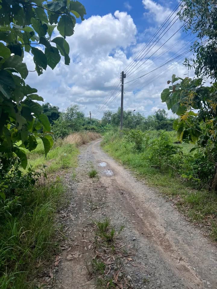 Đất nền Phú Vinh Định Quán 12000m² giá 500 triệu - Cơ hội đầu tư hấp dẫn!