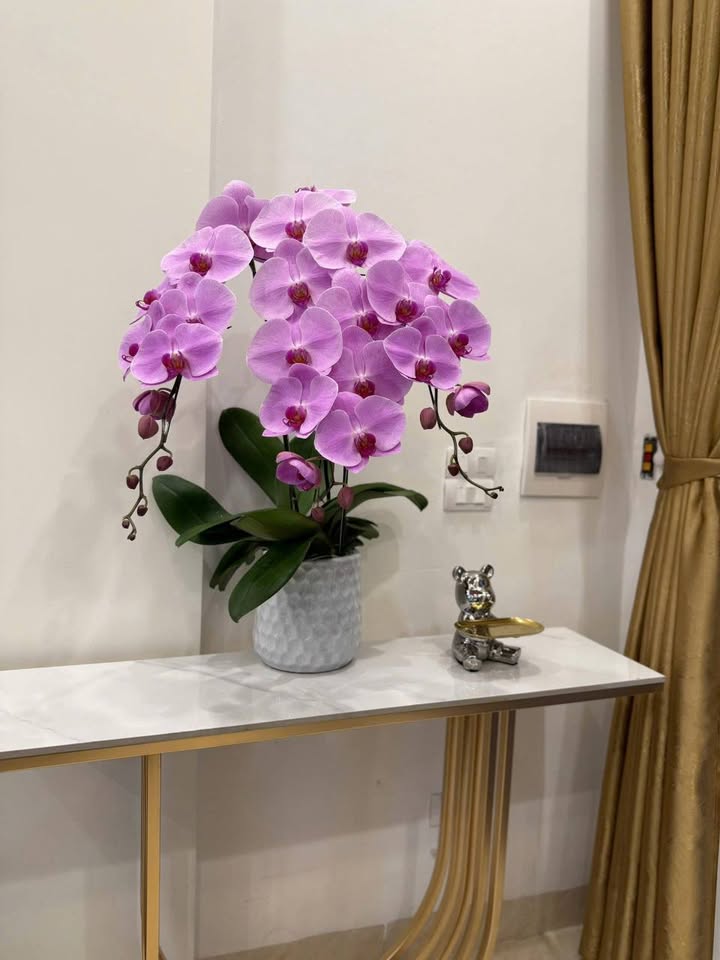 Nhà nguyên căn Hoàng Văn Thái, 50m² giá 26.5 triệu - Kinh doanh tốt, ô tô đỗ cửa!