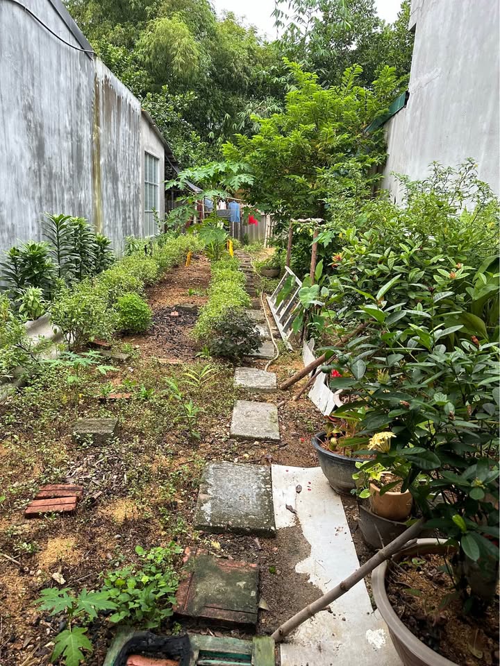 Đất thổ cư 160m² tại Ngõ Bia Chiến Thắng, Yên Sơn - Giá thỏa thuận hấp dẫn!