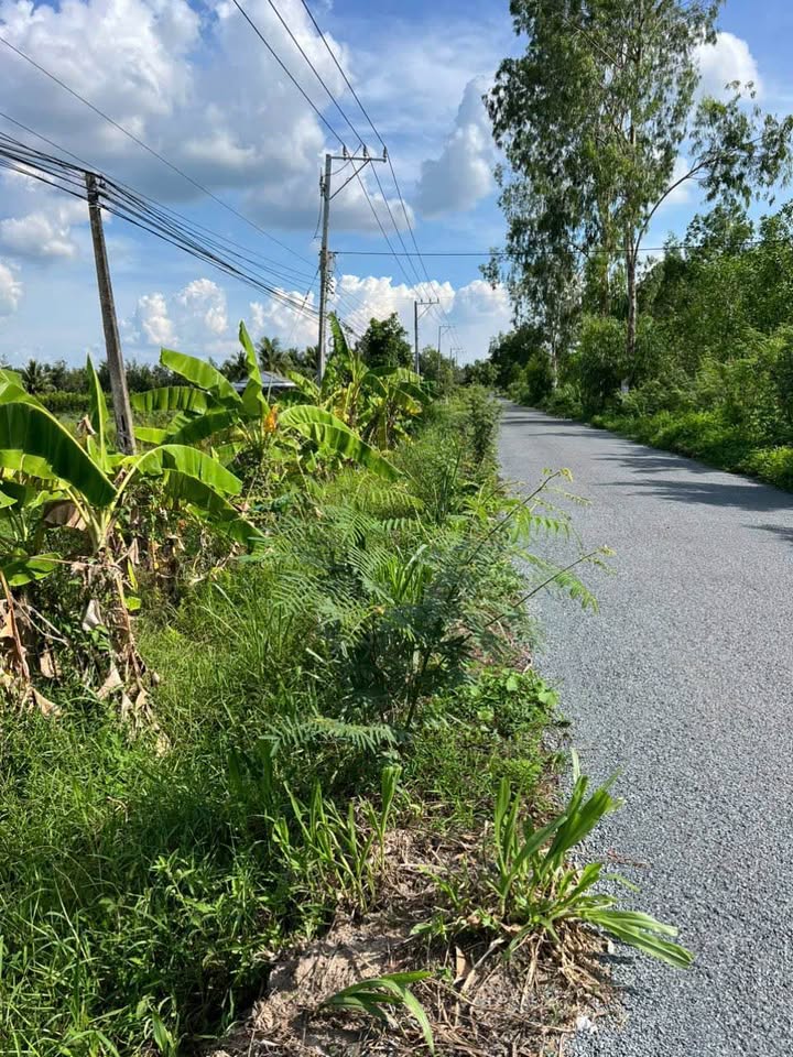 Đất nền Trà Côn, Trà Ôn 1000m² - Mặt tiền 25m, giá thỏa thuận hấp dẫn!