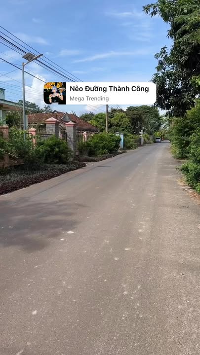 Đất nền Xuyên Mộc 278m² giá 1.35 tỷ - Đầu tư sinh lời ngay!