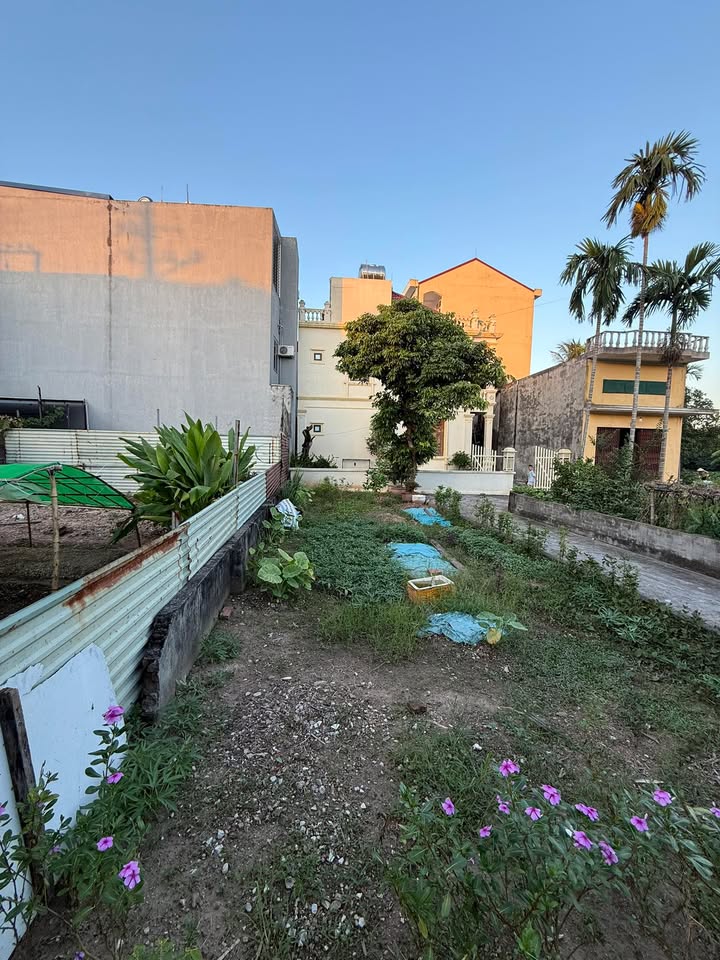 Đất nền mặt đường Khúc Thừa Dụ 65m² giá 6.46 tỷ - Pháp lý rõ ràng, sổ hồng chính chủ!