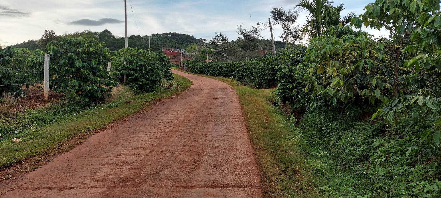 Đất nông nghiệp Nam Hà, Lâm Hà 3540m² giá chỉ 2 tỷ - Cơ hội đầu tư sinh lời!