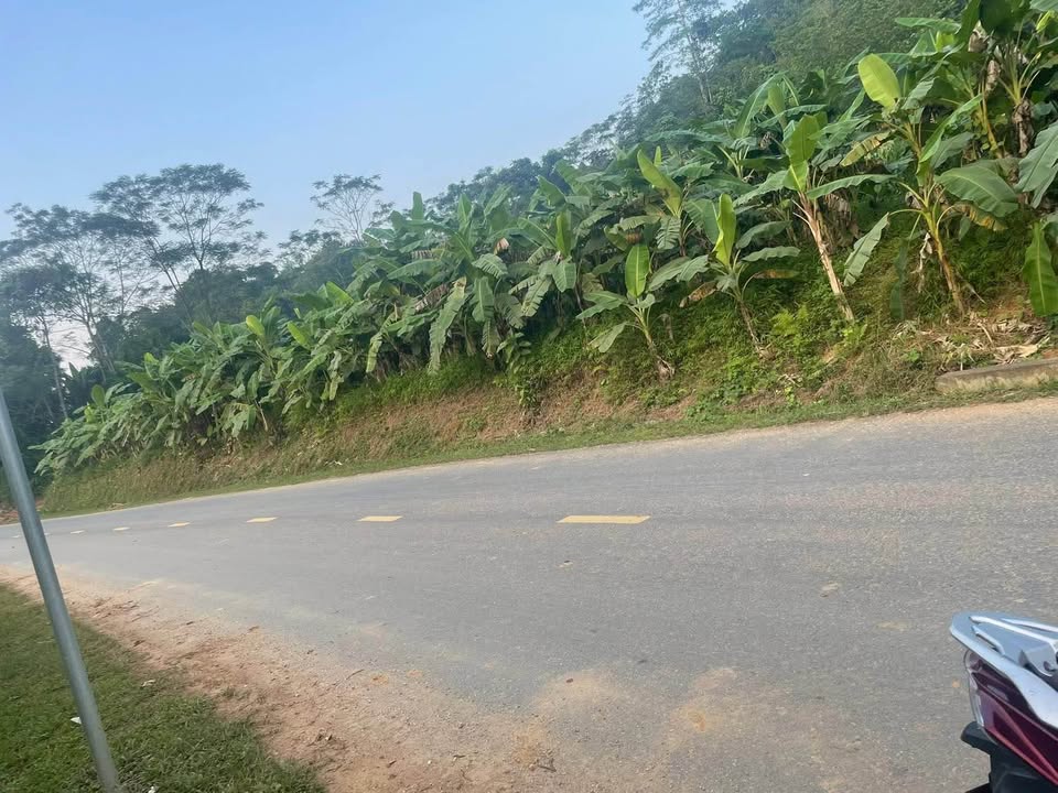 Đất nền Phú Linh, Vị Xuyên 2240m² giá 2.5 tỷ - Đầu tư sinh lời lâu dài!