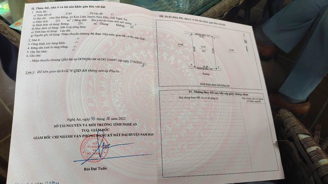 Đất đấu giá Nam Giang 231m² giá thỏa thuận - Hướng Nam mát mẻ