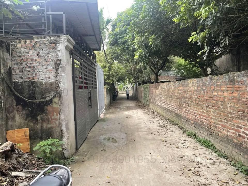 Đất thổ cư Phụng Châu, Chương Mỹ 55m² giá 3 tỷ - Ô tô đỗ cửa, mặt tiền rộng rãi!