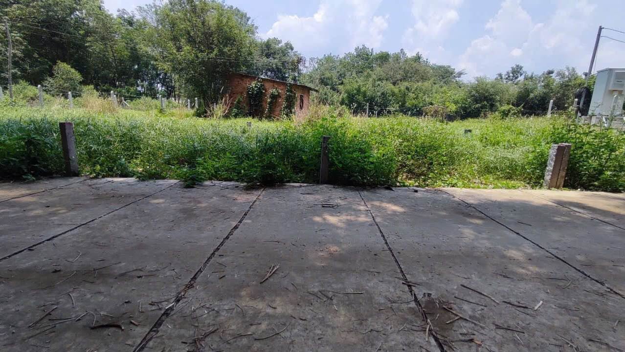 Đất nền Phú Hòa Đông Củ Chi 91m² giá 1.15 tỷ - Sổ hồng chính chủ!