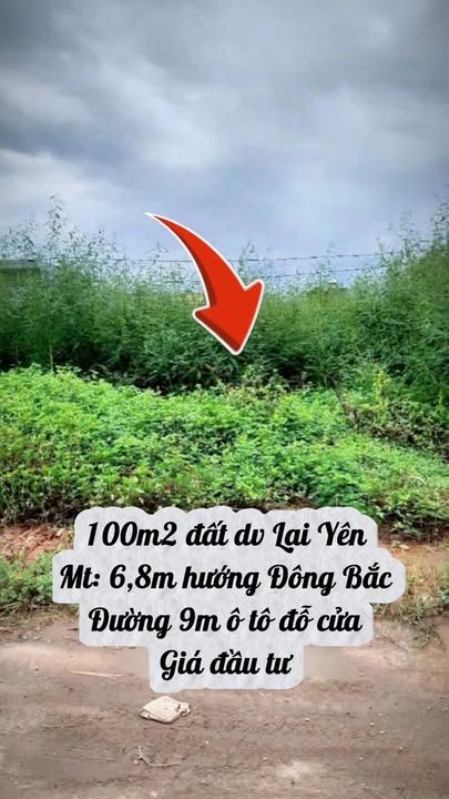 Đất nền Lại Yên, Hoài Đức 100m² - Đầu tư sinh lời hấp dẫn!