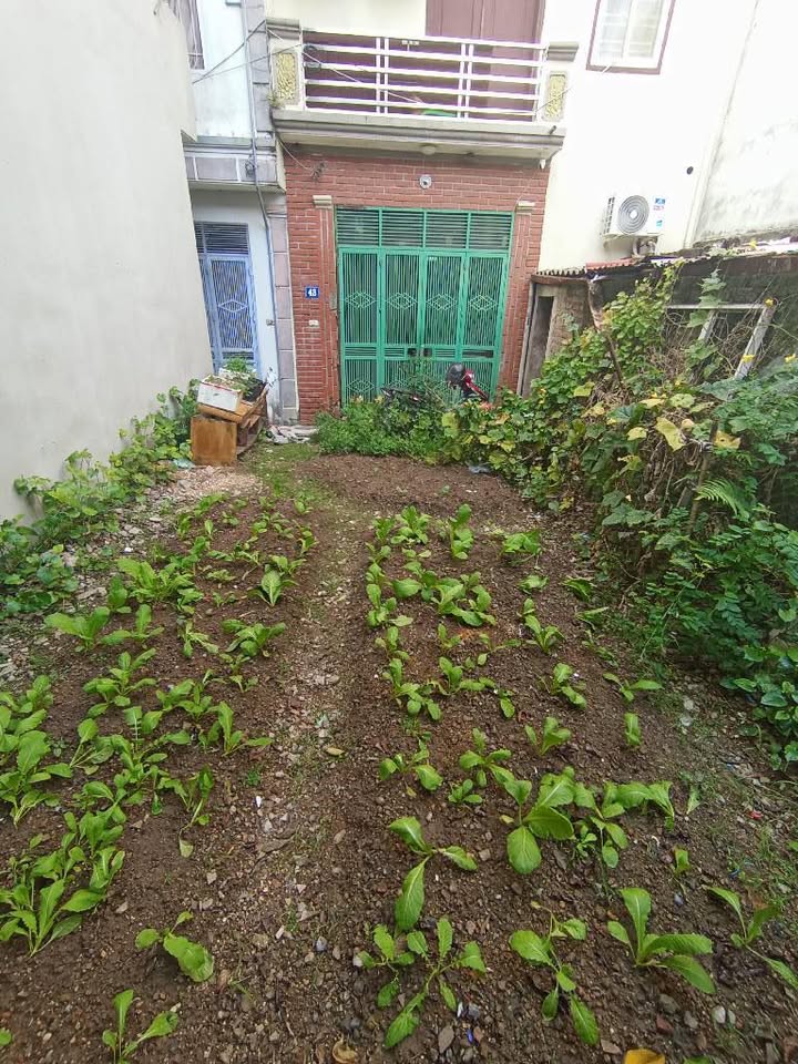 Đất nền An Khánh 52m² nở hậu - Ô tô đỗ tận cửa, giá thỏa thuận hấp dẫn!