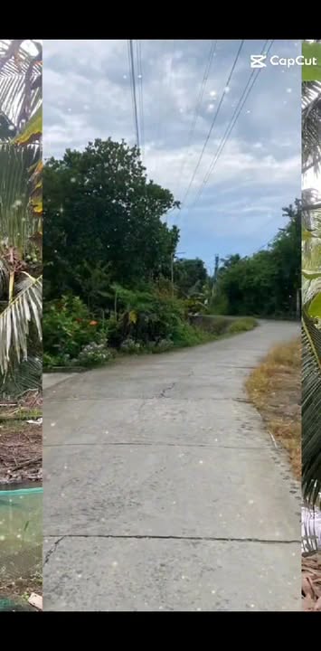 Đất nền Phước Thạnh, Mỹ Tho 986m² giá 2 tỷ - Cơ hội đầu tư tuyệt vời!