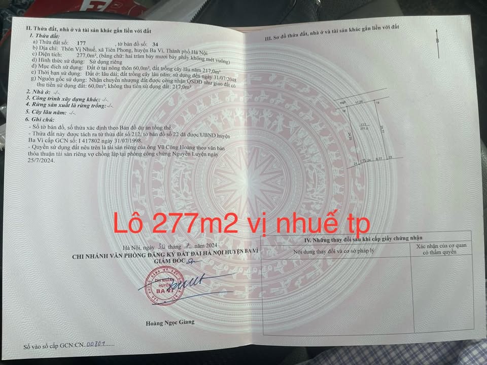 Đất Vị Nhuế, Tiên Phong 277m² - Mặt tiền gần 12m, Giá thỏa thuận!