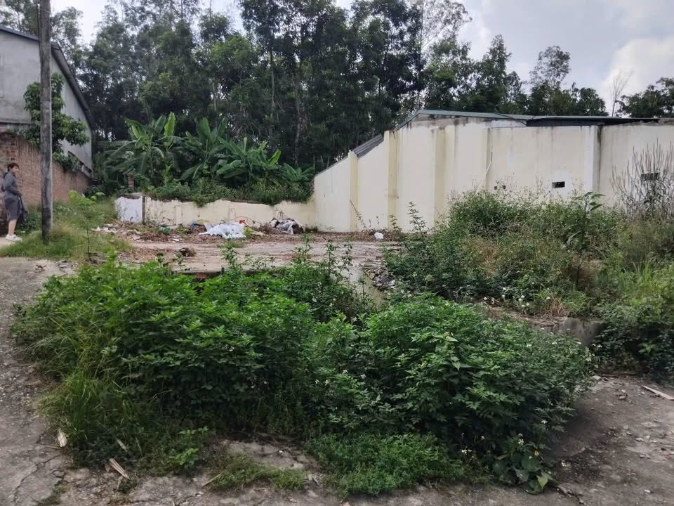 Đất nền 228m² tại Việt Trì - Giá chỉ 3 tỷ, sổ đỏ chính chủ!