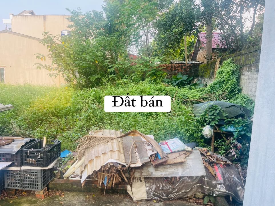 Đất Phụng Thượng 50.5m² giá 2 tỷ - Đầu tư sinh lời tốt!