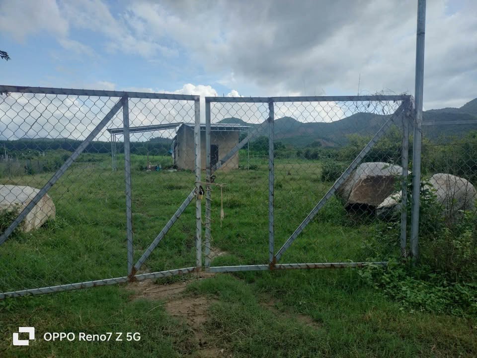 Đất nền Khánh Phú, Khánh Vĩnh 5200m² giá 1.3 tỷ - Đầu tư sinh lời ngay!